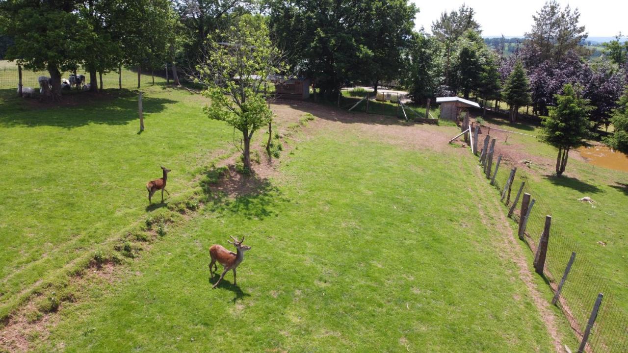 Le Noir Flohay 30 Pers - Malmedy, Vue, Wellness Villa Eksteriør bilde